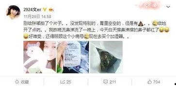 娱乐吃瓜er,吃瓜er带你探秘明星幕后故事