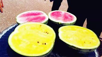 羊宝吃瓜爆料,娱乐圈幕后真相大揭秘