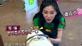 娱乐吃瓜酱笑声视频大全,笑翻天！娱乐吃瓜酱笑声视频大全集锦