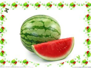 吃瓜火爆料小课堂,火爆料小课堂揭秘娱乐圈幕后真相