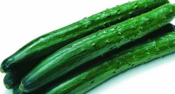 今日宜吃瓜张大贵