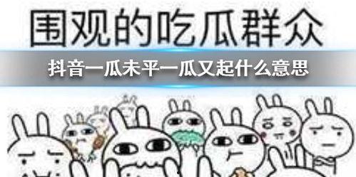 抖音娱乐吃瓜酱抖音号