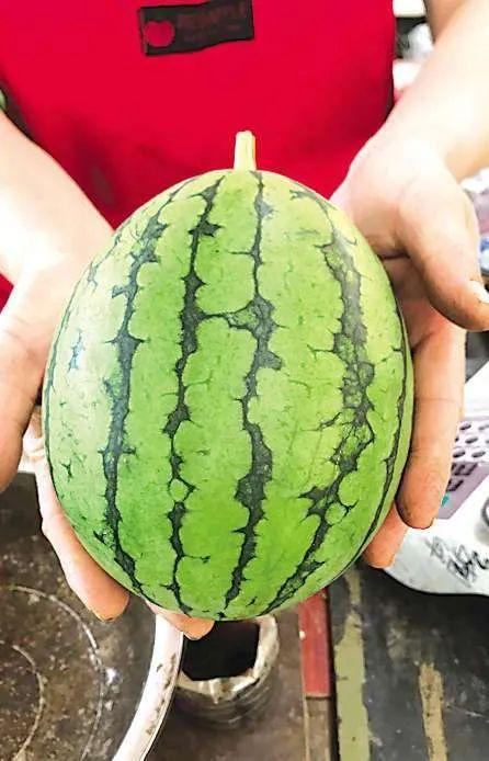 五一吃瓜网最新事件,五一假期热门事件大追踪